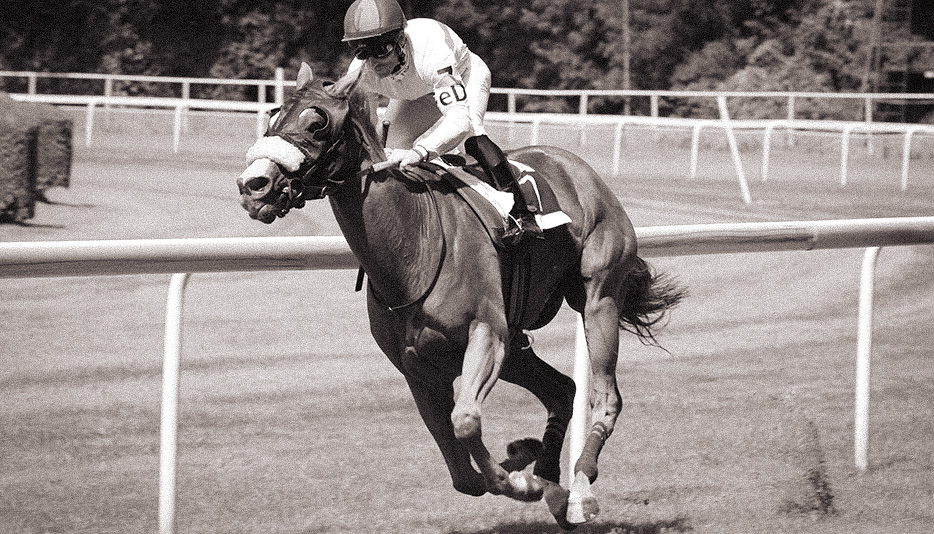 1905 Lotteriansøgning