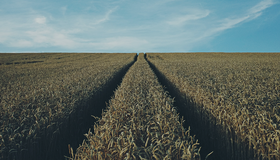 Landbrugslotteriet Støtter Landboungdom Overskuddet Går Til Almennyttige Formål
